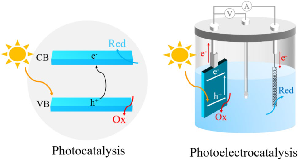 Photon & Plasma-to-X