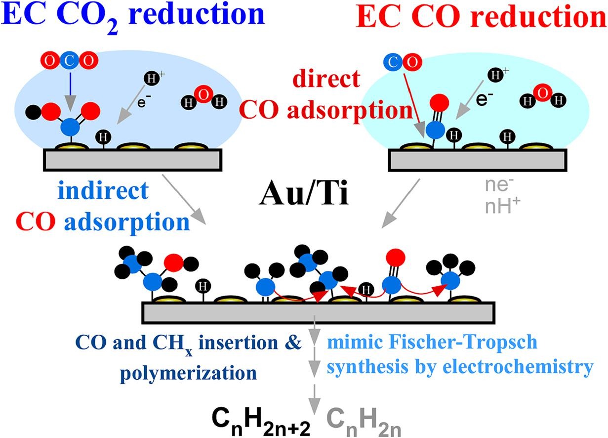 Electrochemical CO2 reduction versus CO reduction over Au/Ti electrocatalyts in phosphate buffer condition